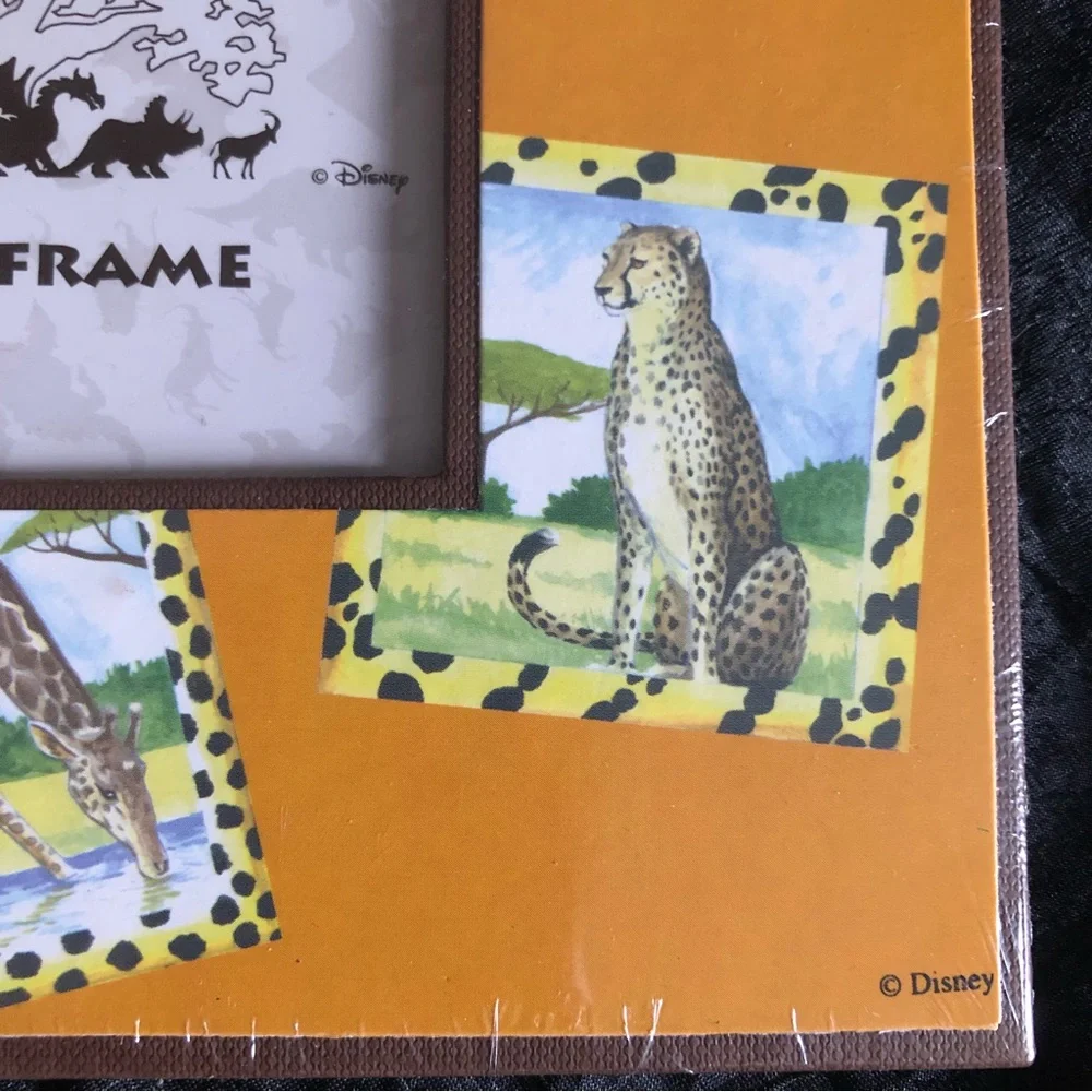 Pair of Disney Animal Kingdom Square Picture Frame
